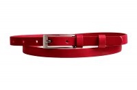 Dmsk koen zk psek 15-1-93 erven, Penny Belts