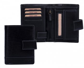 Pnsk koen penenka V-27/T ern, Lagen